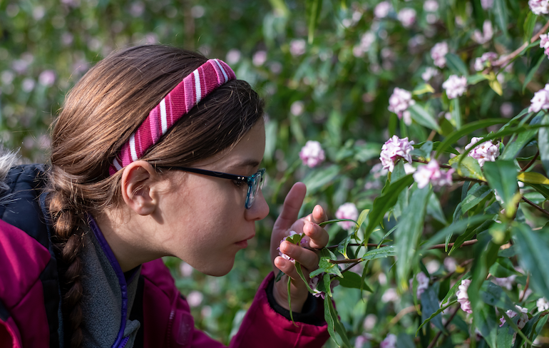 A girl with a pink headband smelling pink flowers