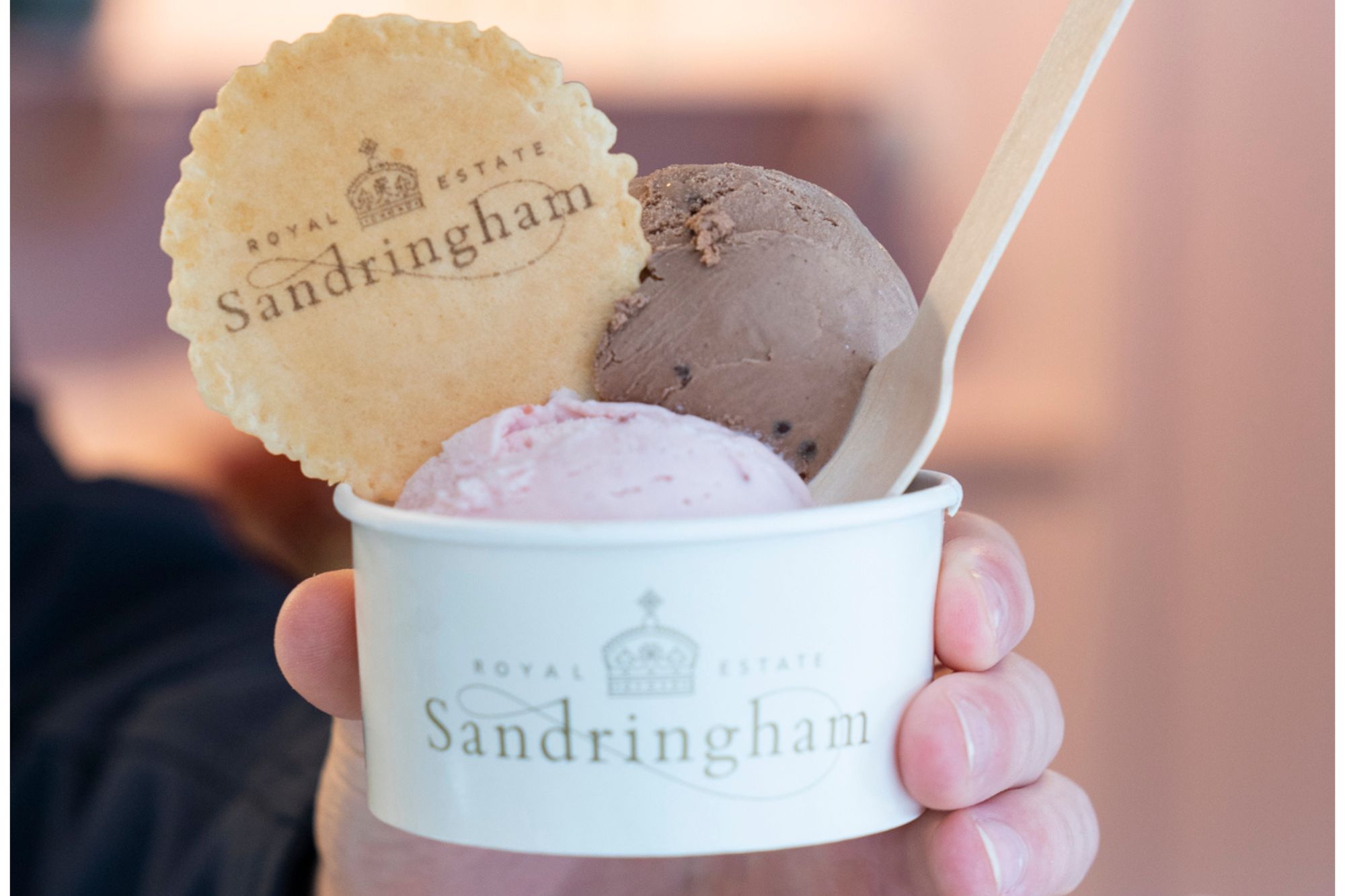 Strawberry and Chocolate Ice Cream flavours in a white tub with Sandringham Wafer