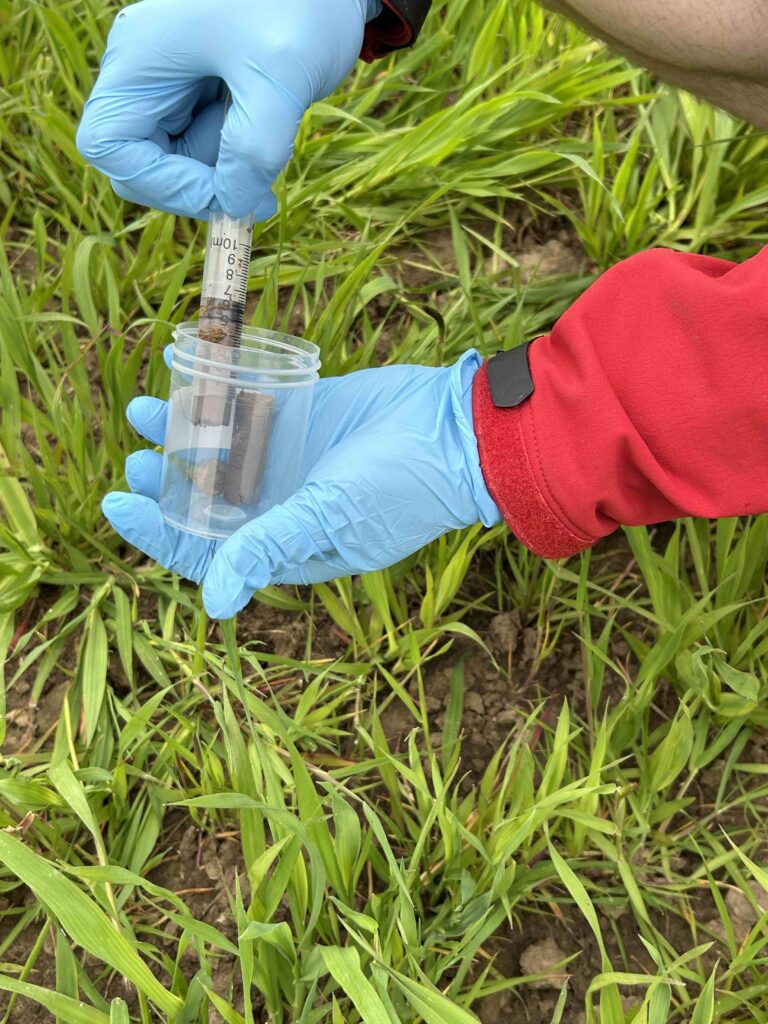 A blue glove with test tube taking soil samples from the ground to inform habitat quality.